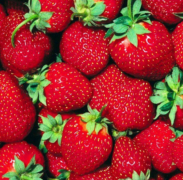 Candela in cera di soia in latta